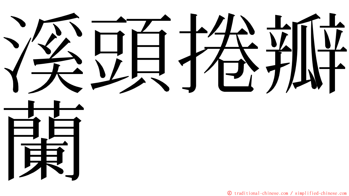 溪頭捲瓣蘭 ming font