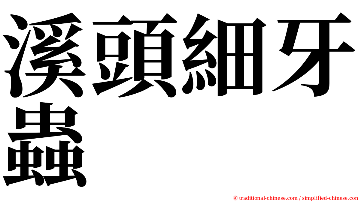 溪頭細牙蟲 serif font