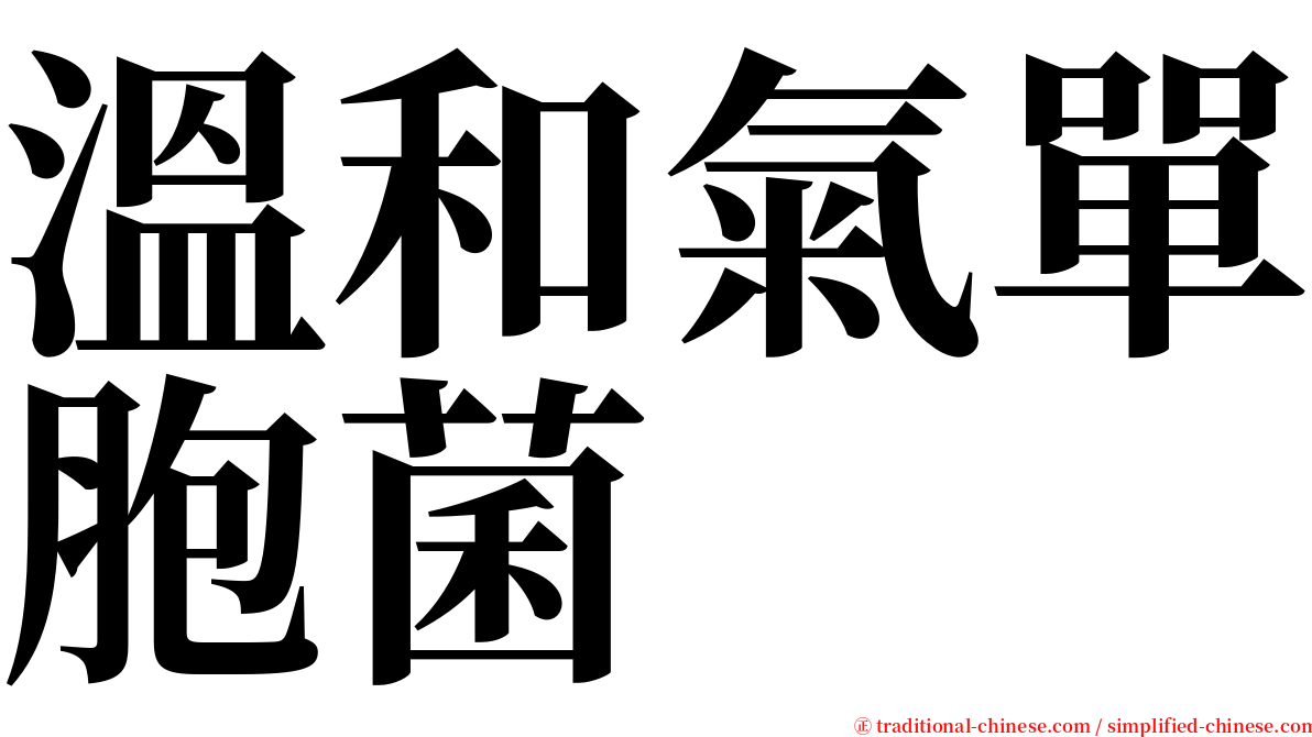 溫和氣單胞菌 serif font