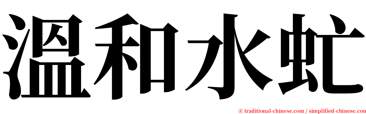 溫和水虻 serif font