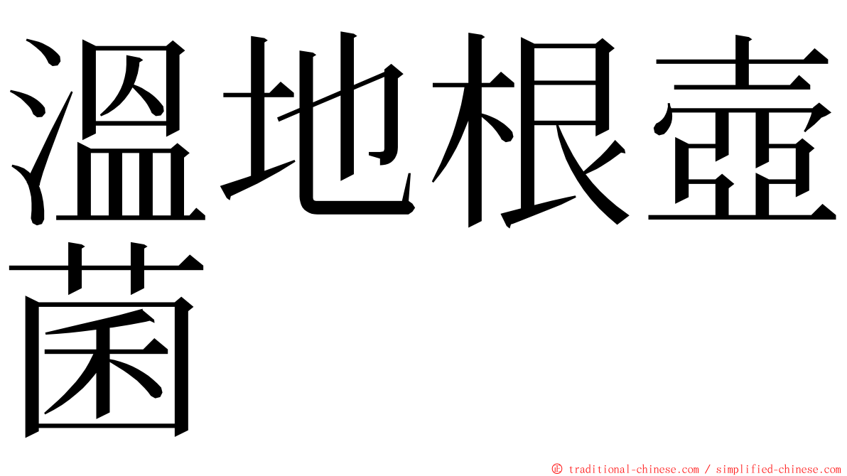 溫地根壺菌 ming font