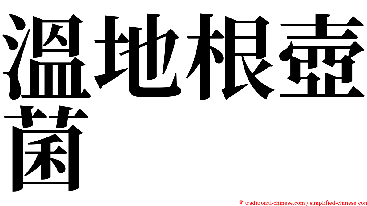 溫地根壺菌 serif font