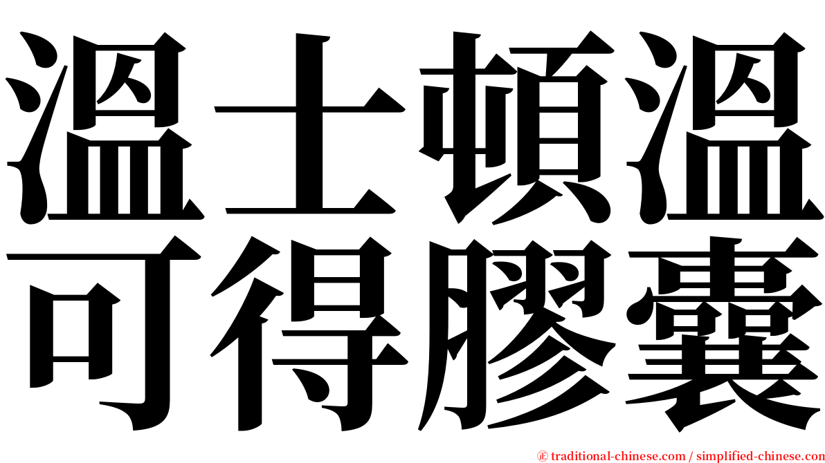 溫士頓溫可得膠囊 serif font