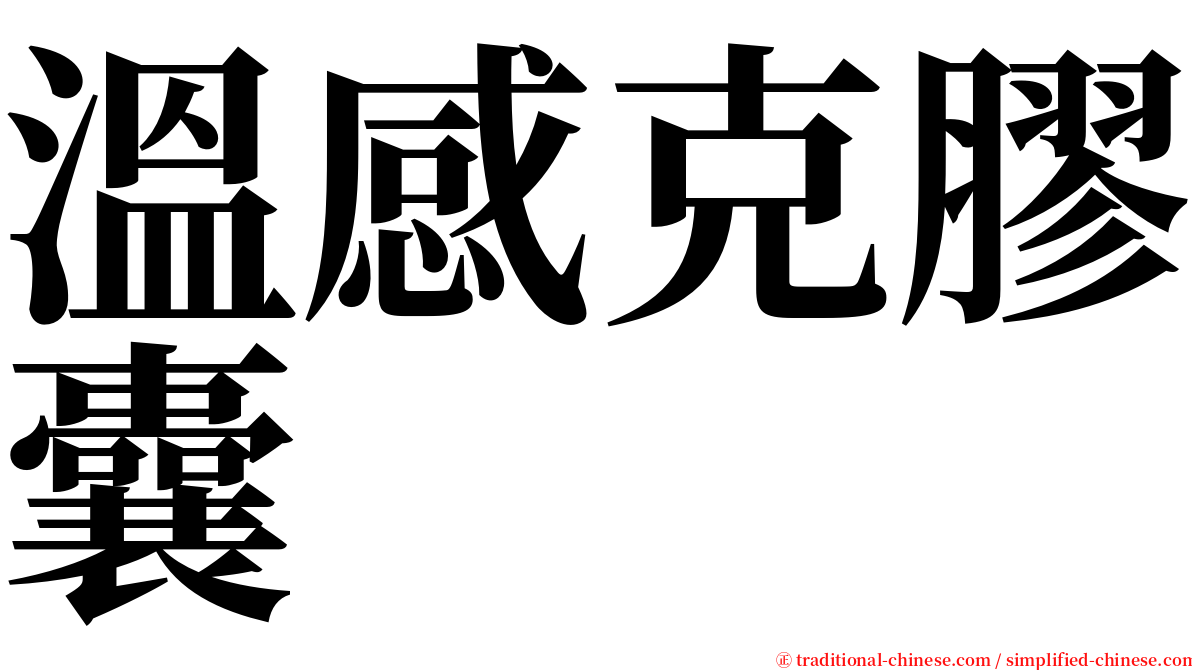 溫感克膠囊 serif font