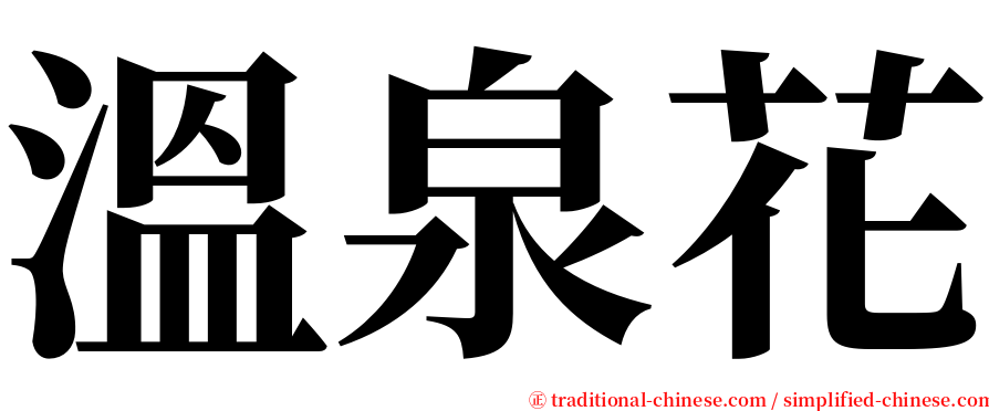 溫泉花 serif font