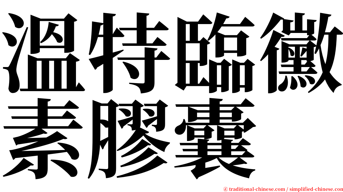 溫特臨黴素膠囊 serif font