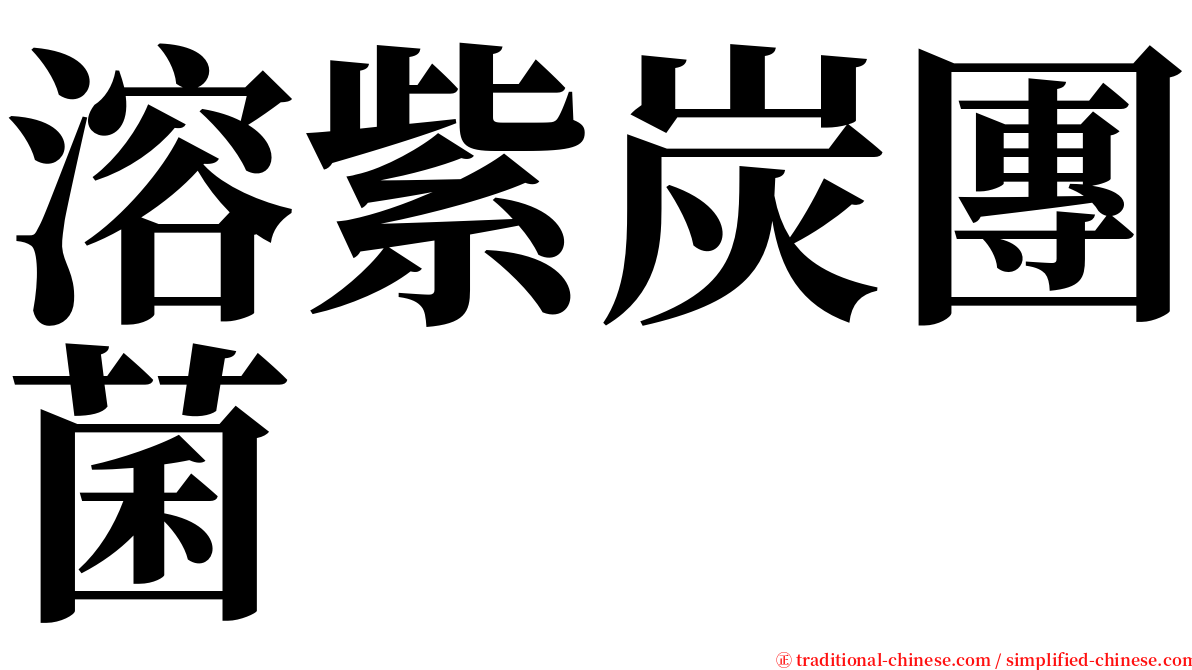 溶紫炭團菌 serif font