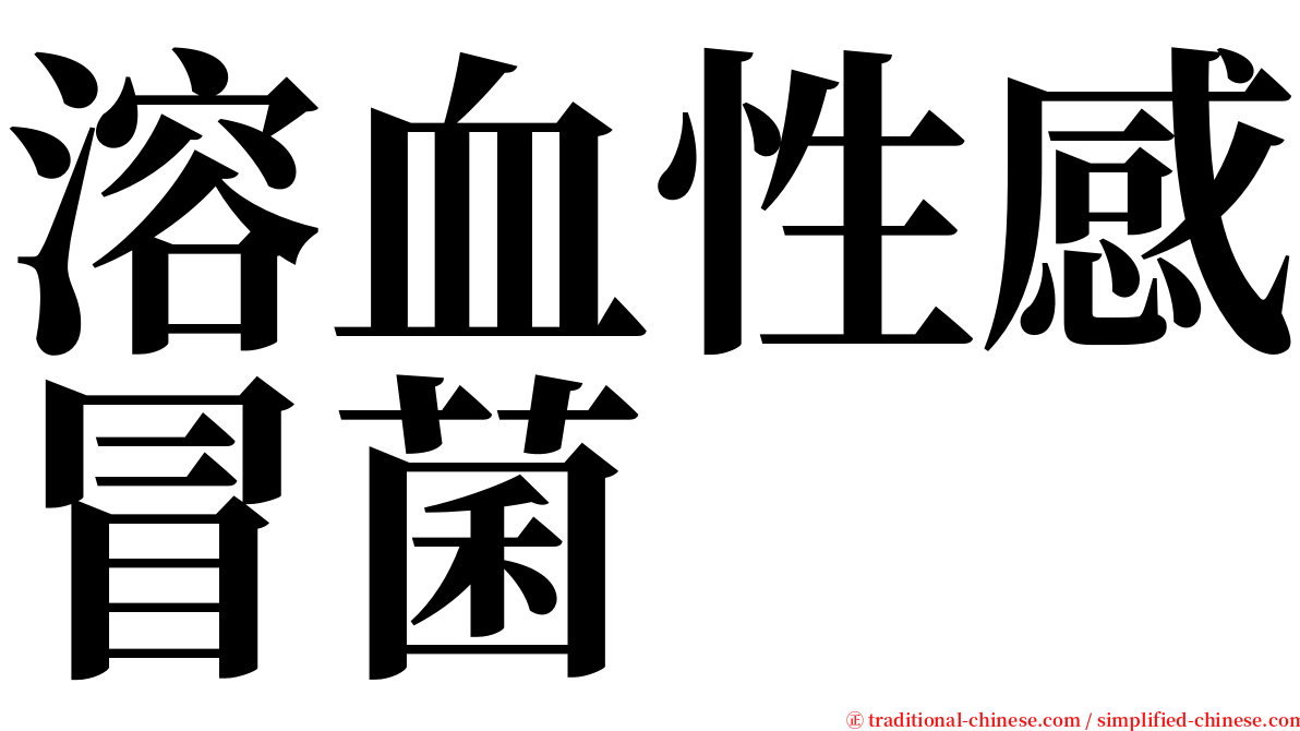 溶血性感冒菌 serif font