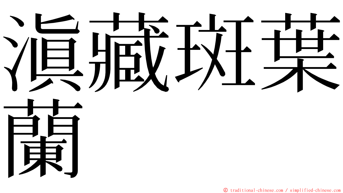 滇藏斑葉蘭 ming font