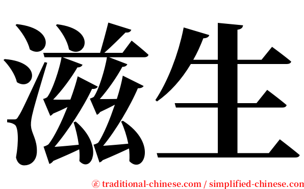 滋生 serif font