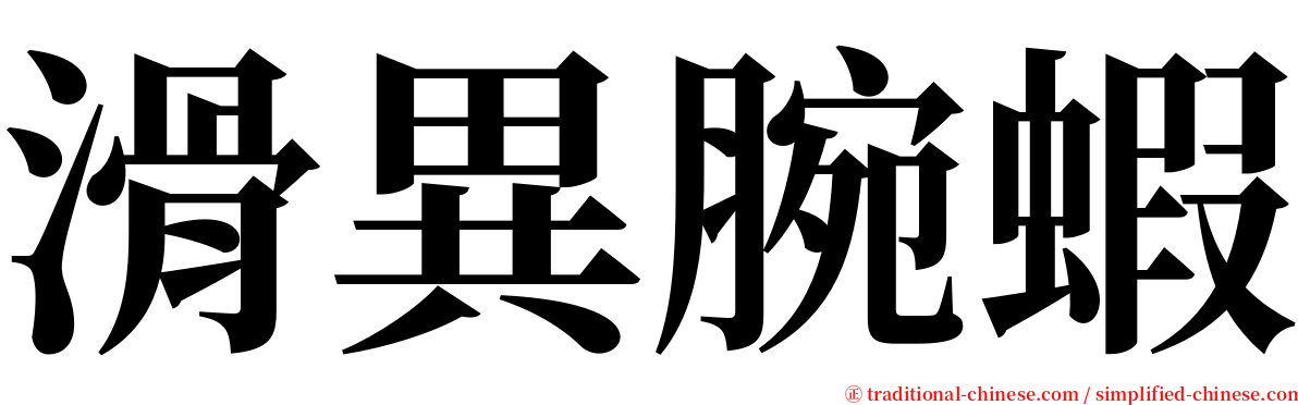 滑異腕蝦 serif font