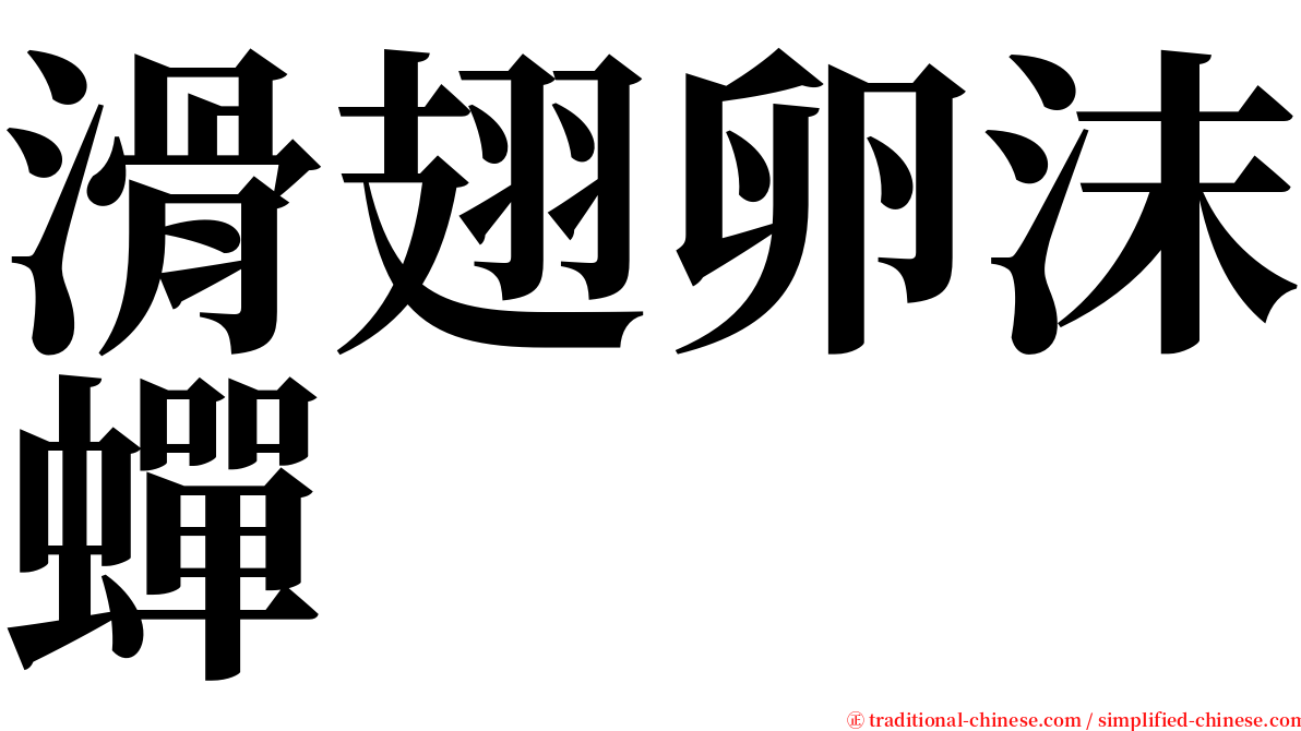 滑翅卵沫蟬 serif font