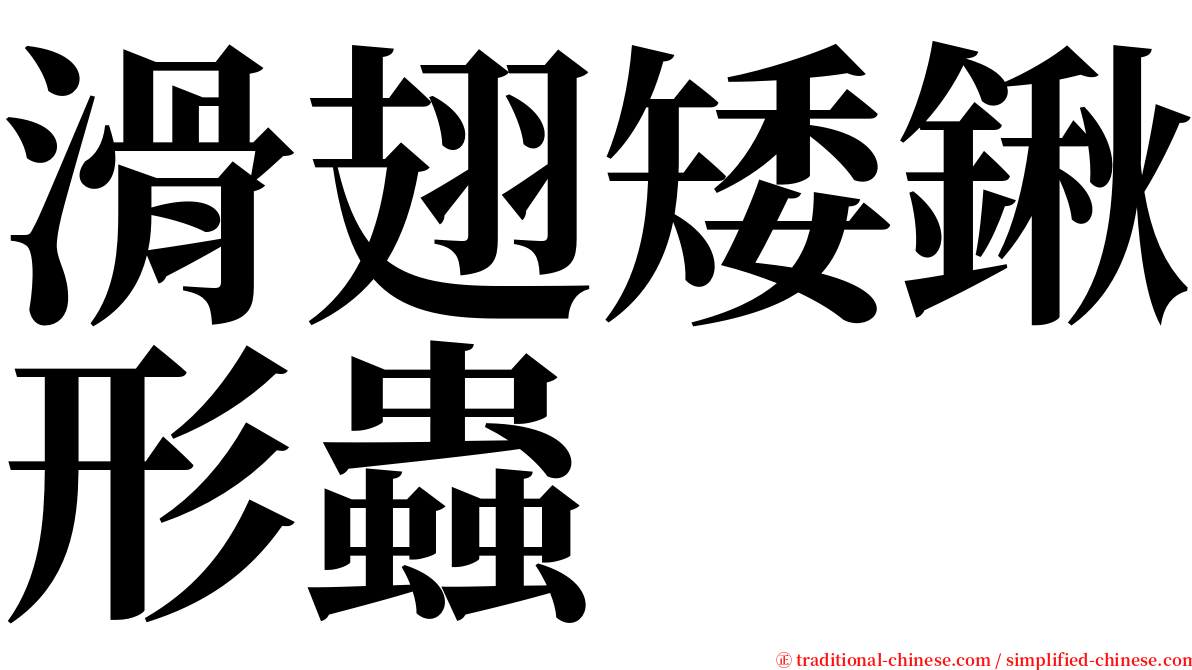 滑翅矮鍬形蟲 serif font