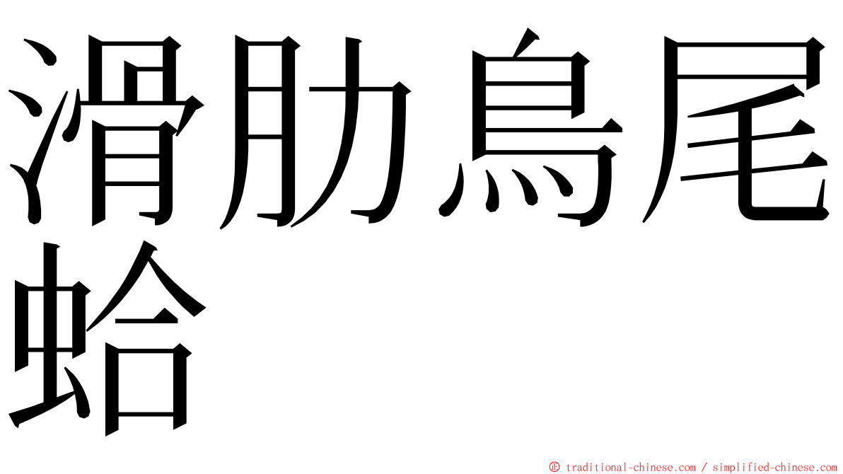 滑肋鳥尾蛤 ming font