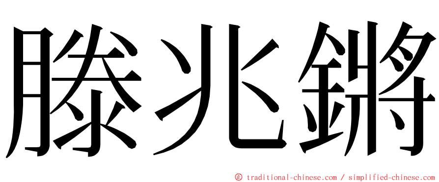 滕兆鏘 ming font