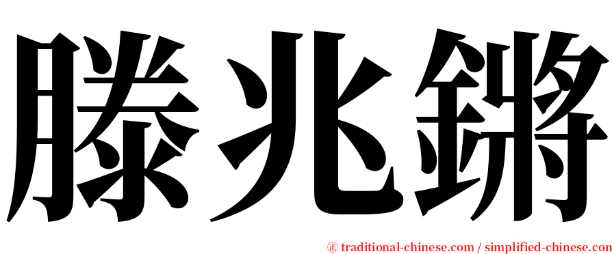 滕兆鏘 serif font