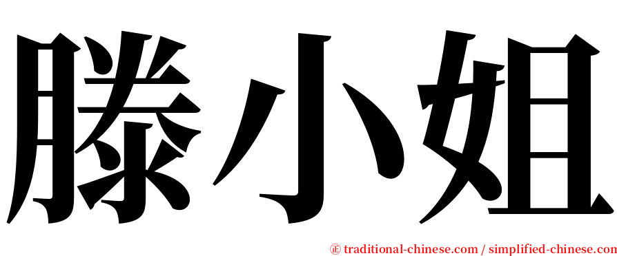 滕小姐 serif font