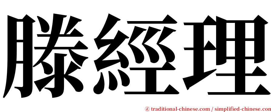 滕經理 serif font