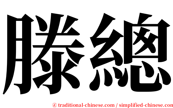 滕總 serif font