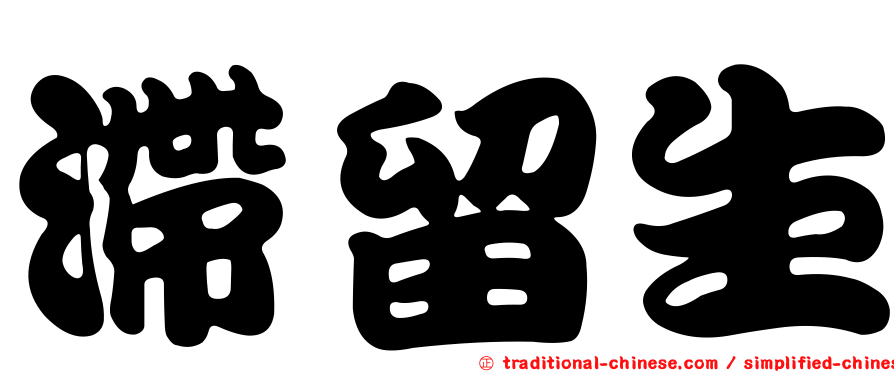 滯留生