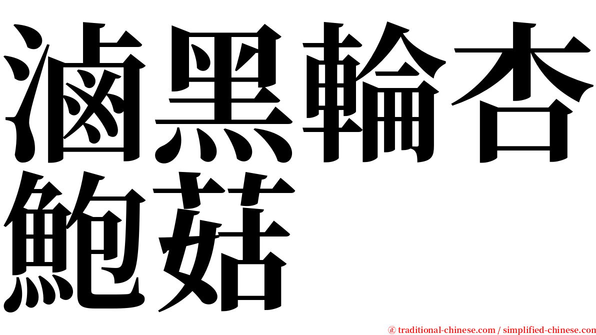 滷黑輪杏鮑菇 serif font