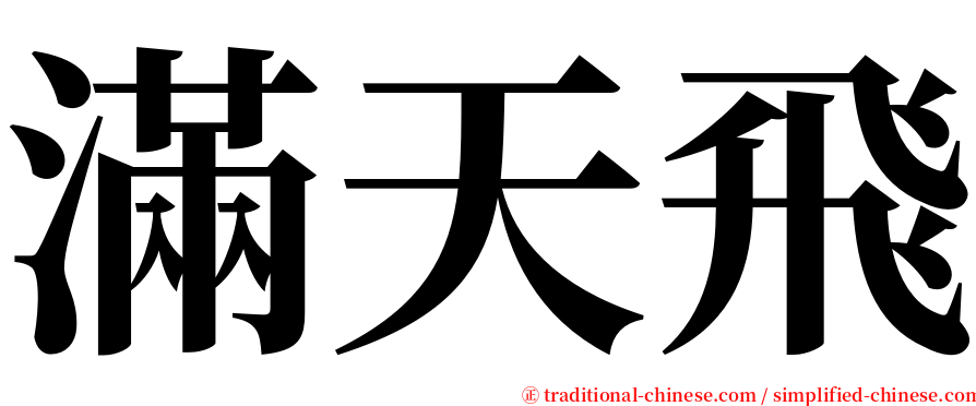 滿天飛 serif font