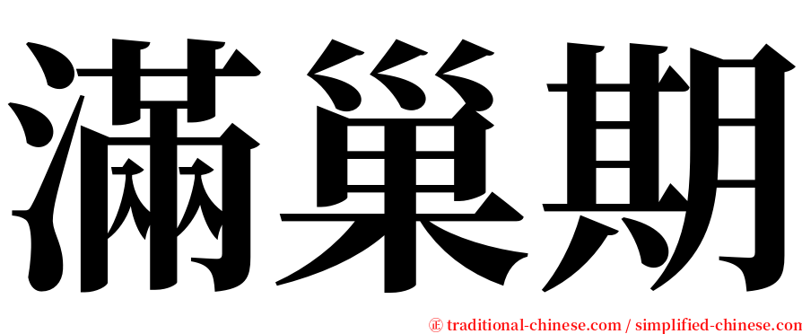 滿巢期 serif font