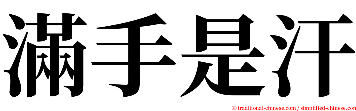 滿手是汗 serif font