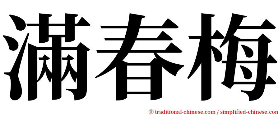 滿春梅 serif font