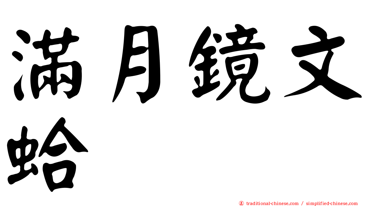 滿月鏡文蛤