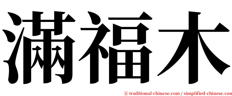 滿福木 serif font