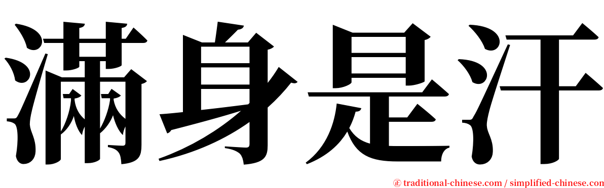 滿身是汗 serif font