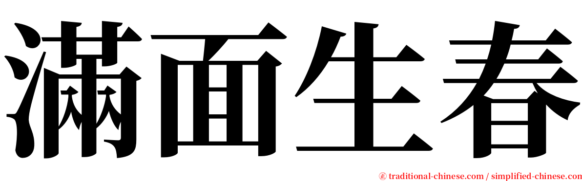 滿面生春 serif font