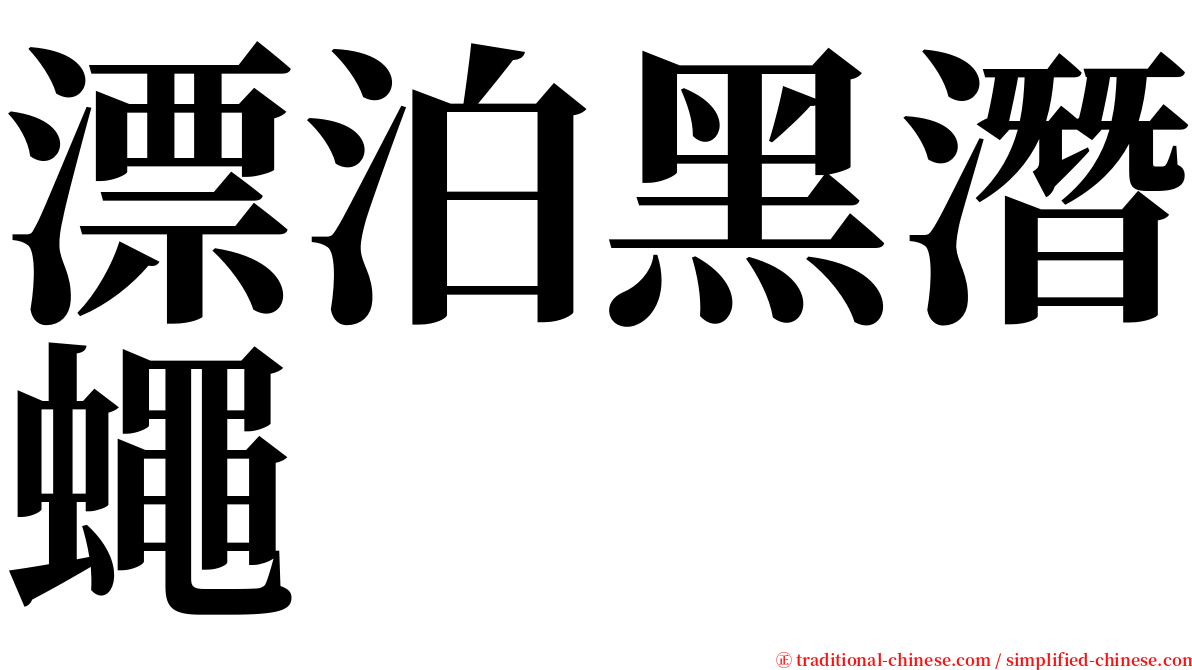 漂泊黑潛蠅 serif font