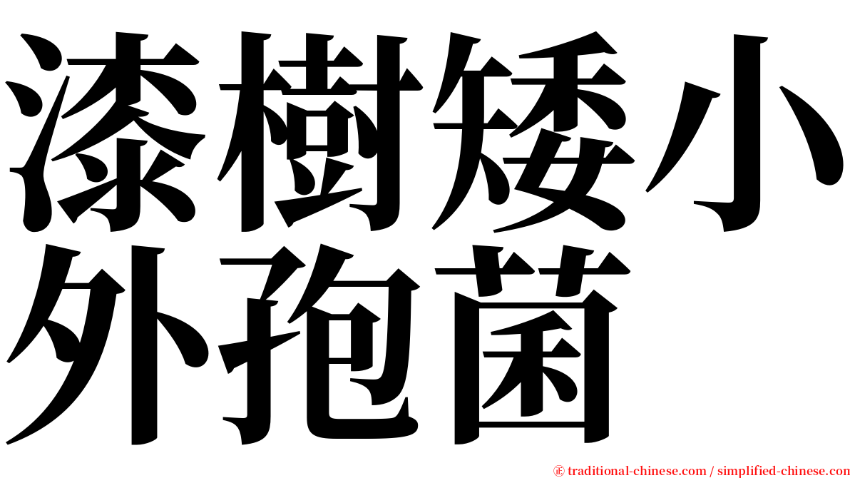 漆樹矮小外孢菌 serif font