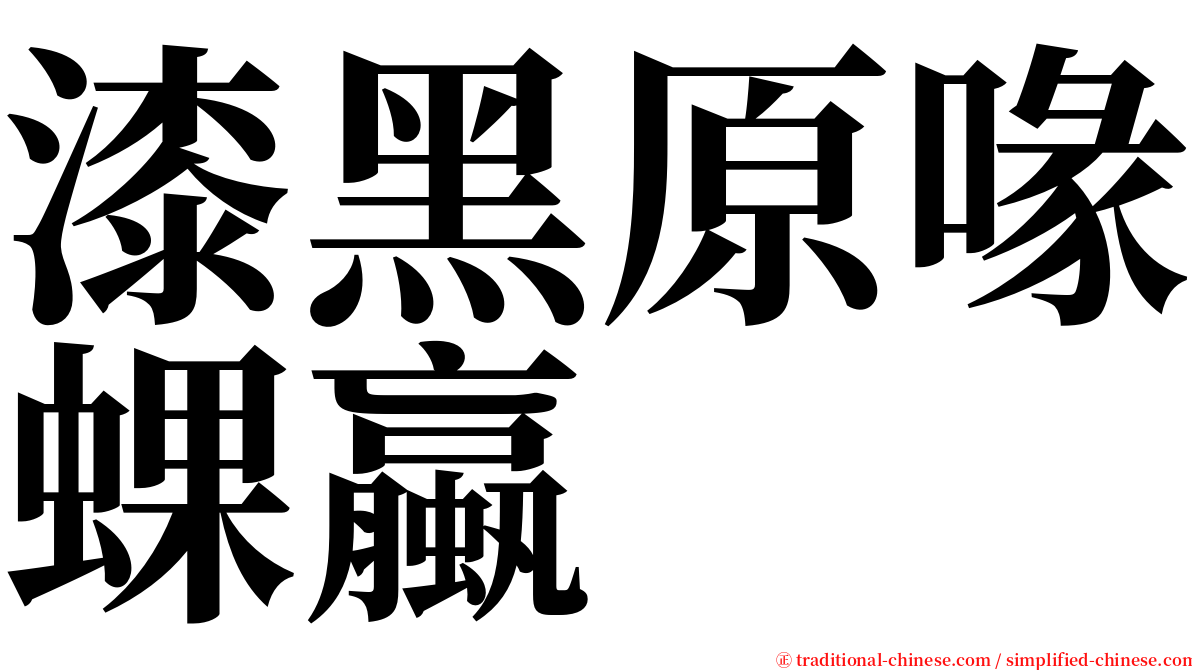 漆黑原喙蜾蠃 serif font