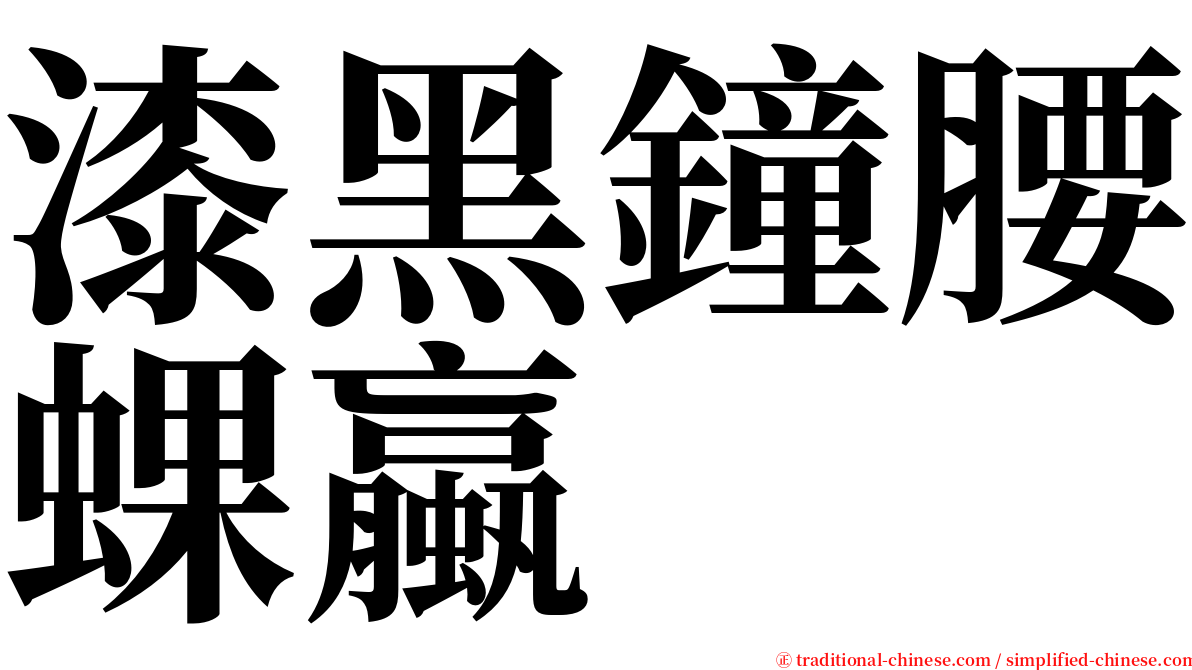 漆黑鐘腰蜾蠃 serif font