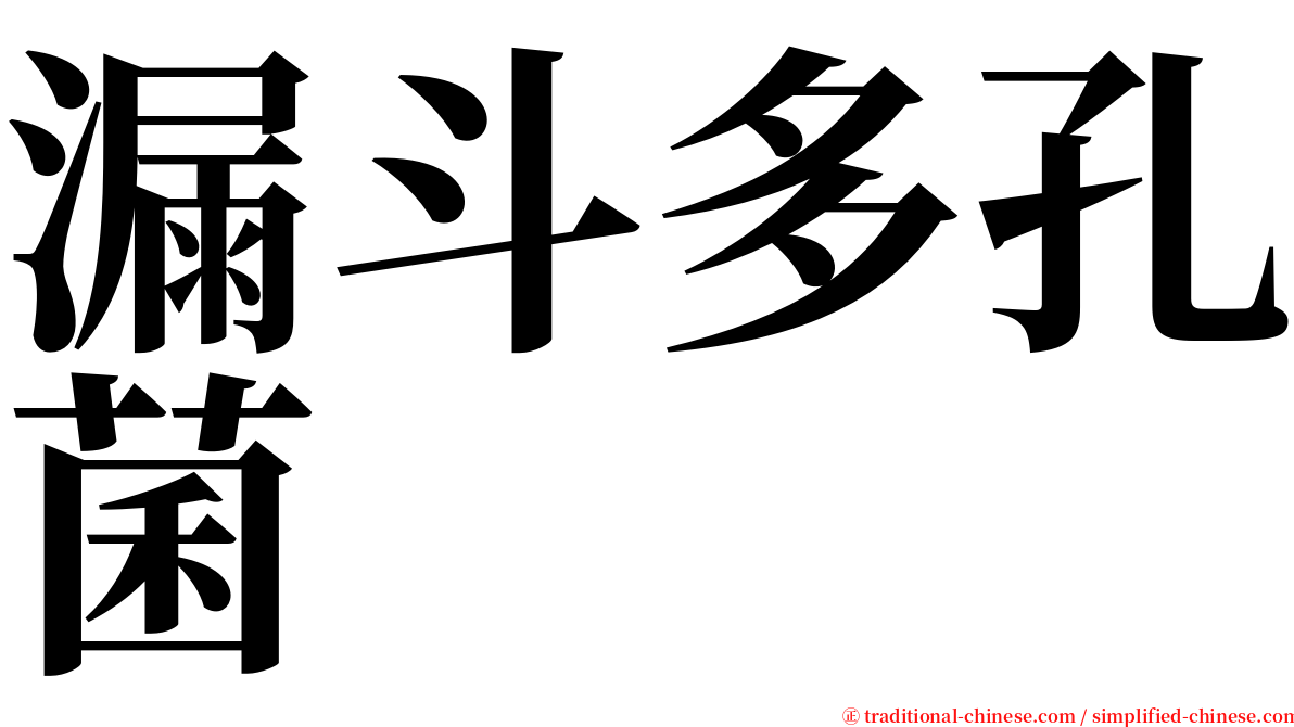 漏斗多孔菌 serif font