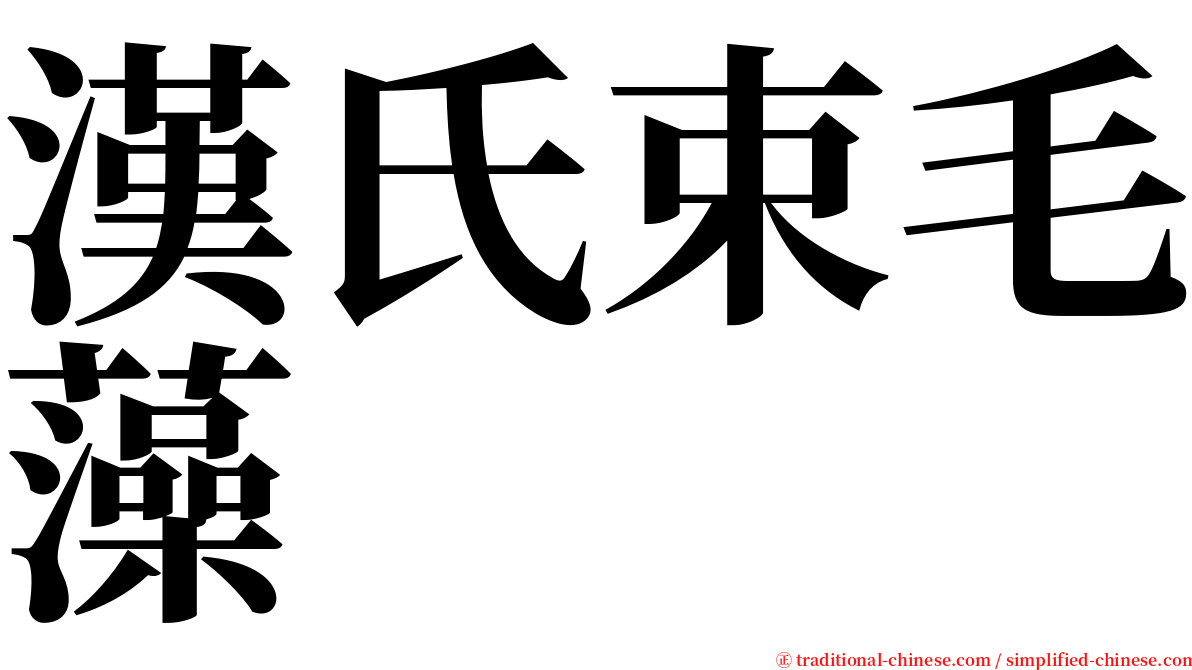 漢氏束毛藻 serif font