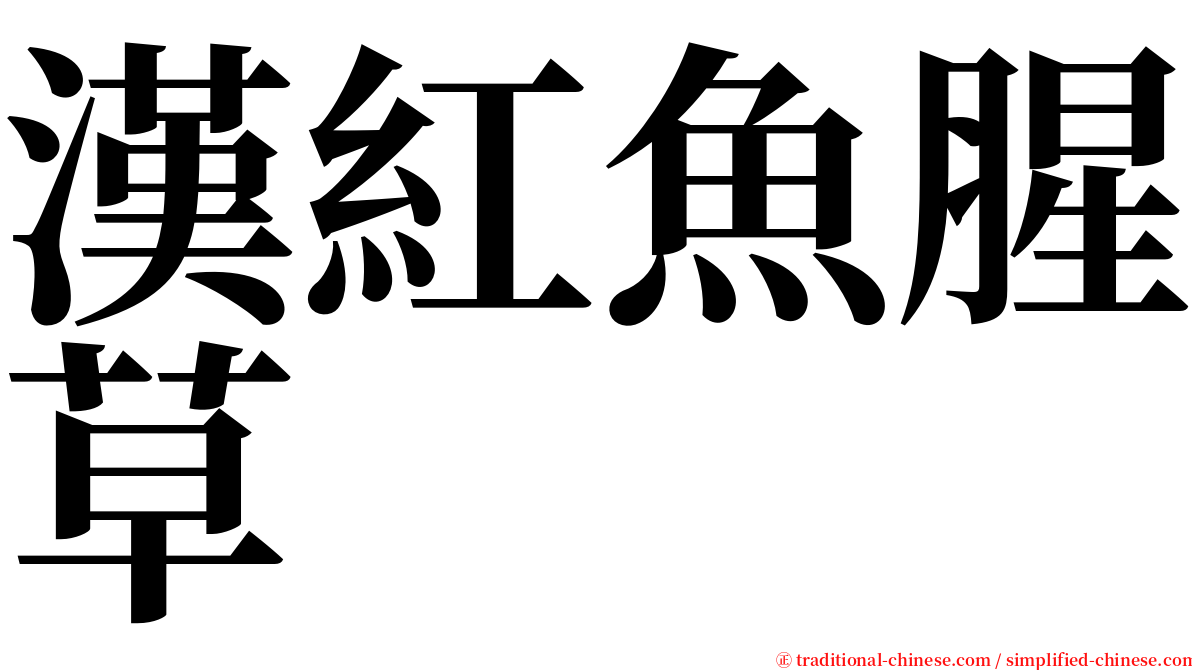 漢紅魚腥草 serif font