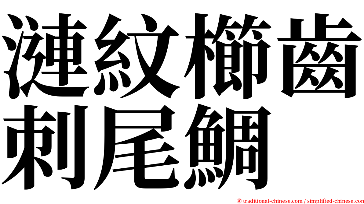 漣紋櫛齒刺尾鯛 serif font