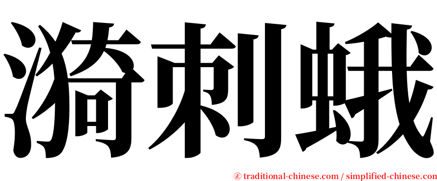 漪刺蛾 serif font