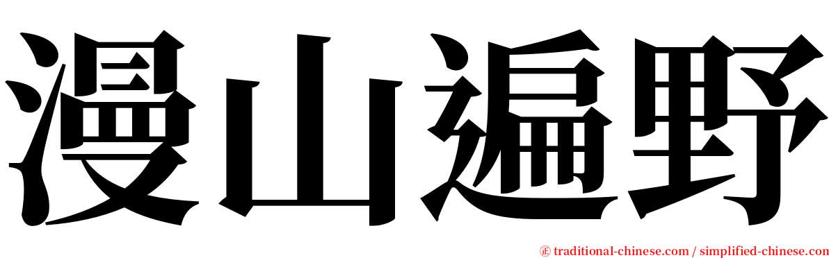 漫山遍野 serif font