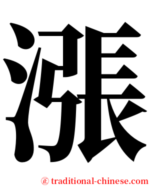 漲 serif font