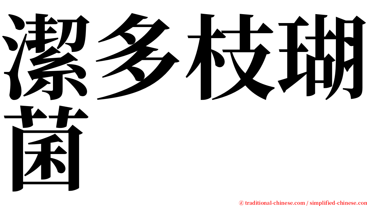 潔多枝瑚菌 serif font