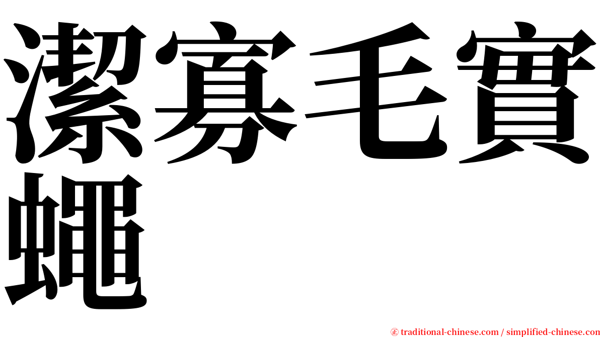 潔寡毛實蠅 serif font