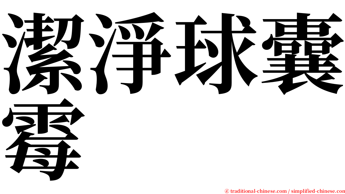 潔淨球囊霉 serif font