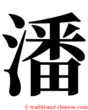 潘 serif font