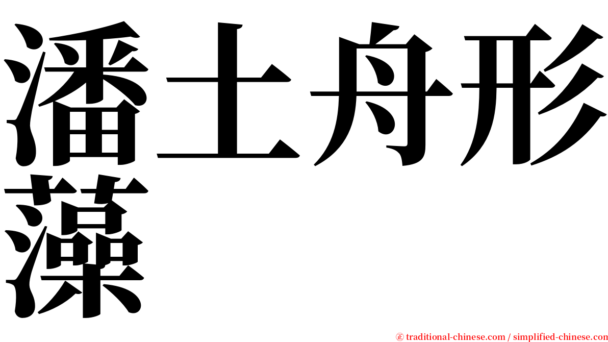 潘土舟形藻 serif font