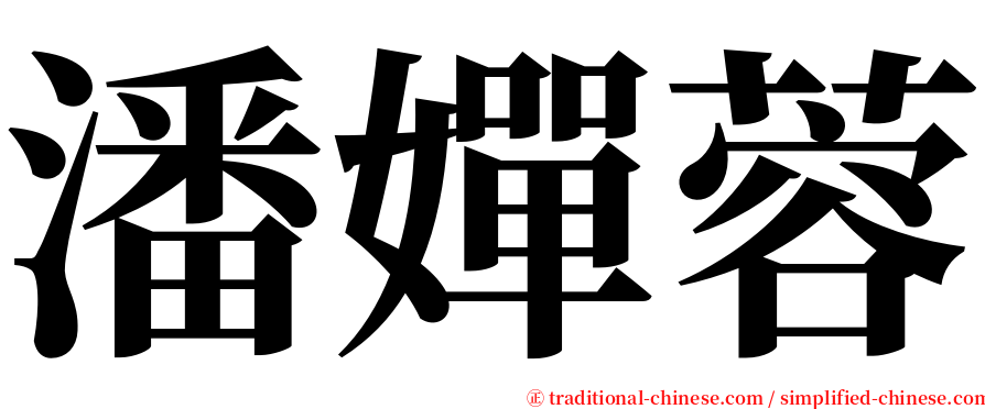 潘嬋蓉 serif font